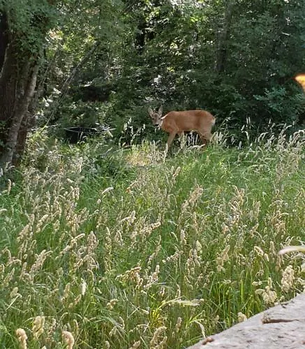 Apartamento Kiara Kraljevica