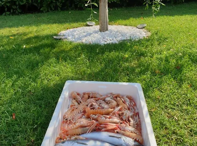 Kiara Kraljevica